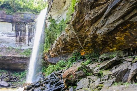 Image result for Amazing Study Tips