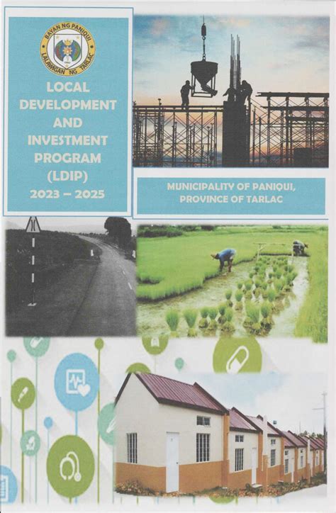 Local Development Investment Program 的图像结果