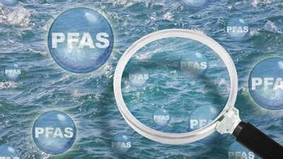 Common household products loaded with forever chemicals (PFAS) - The ...