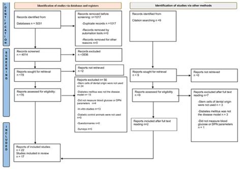 Dental Stem Cell-Based Therapy for Glycemic Control and the Scope of ...