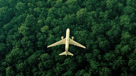 How to Fly Greener with Sustainable Aviation Fuel