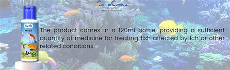 Buy Canine Comida RidAll Anti Ich Fish Medicine for All Kind of Fishes ...