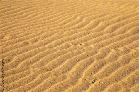 Sand 的图像结果