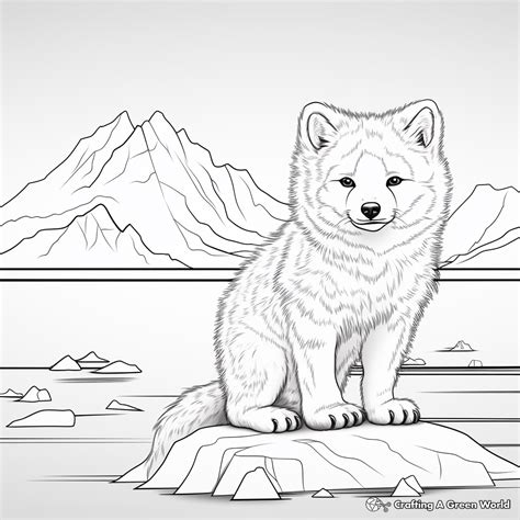 Arctic Fox Coloring Pages - Free & Printable!