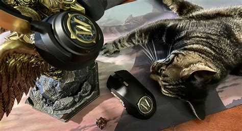 First Look at Steelseries x World of Warcraft 20th Anniversary Merch ...