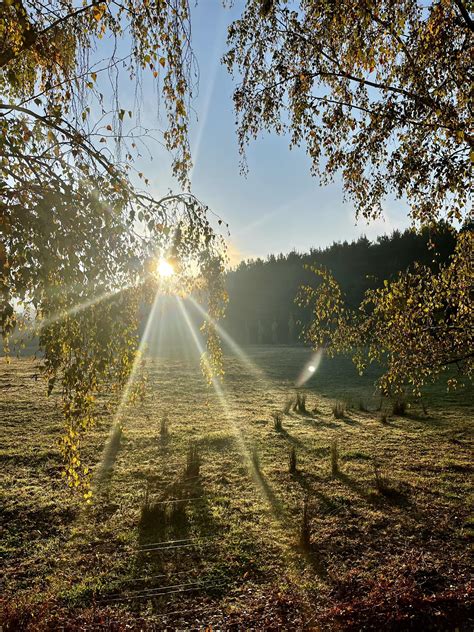 Hello Local 的图像结果
