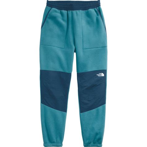 The North Face Denali 2 Pant - Men's - Clothing