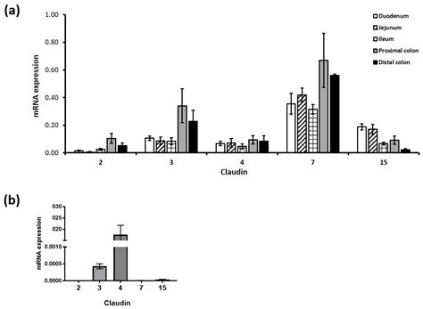 Artificial Sweeteners Disrupt Tight Junctions and Barrier Function in ...