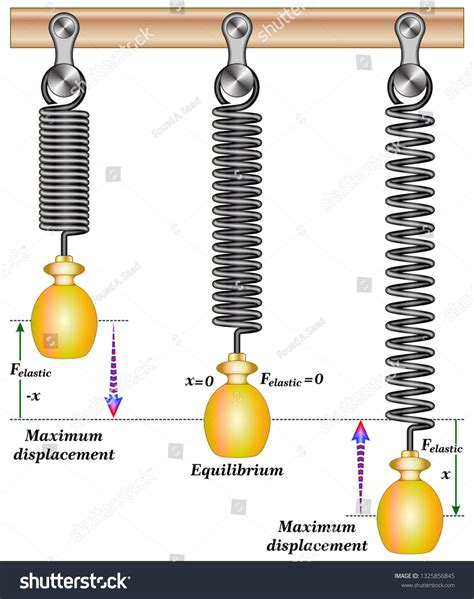 Simple Harmonic Motion Spring