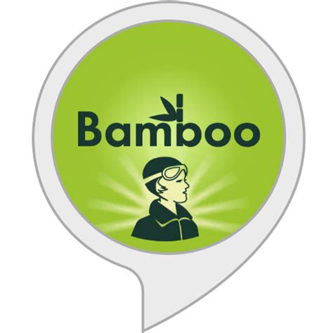 Amazon.in: Bamboo Luminaries : Alexa Skills