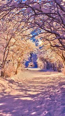 Winter Wallpaper by Free Winter Wallpapers For Iphone Pixelstalk Net Winter Wallpaper
