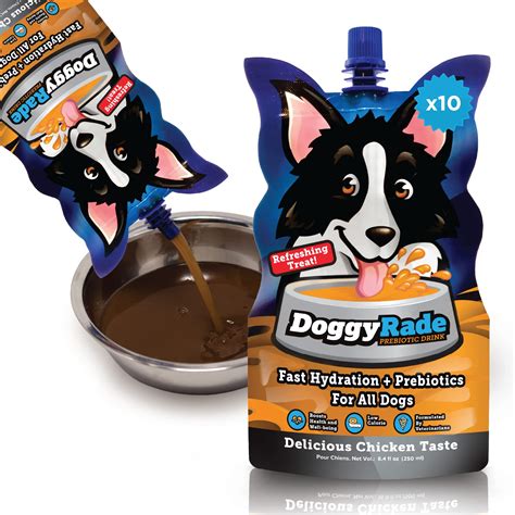 How Do You Rehydrate A Dog With Diarrhea