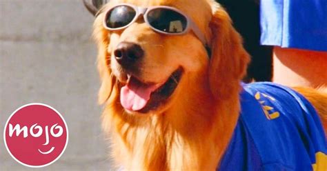 Image result for Watchmojo.com Top 10 Animals