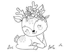 Image result for WP Spring Code
