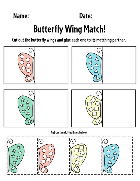 Bird Fly Worksheet 的图像结果