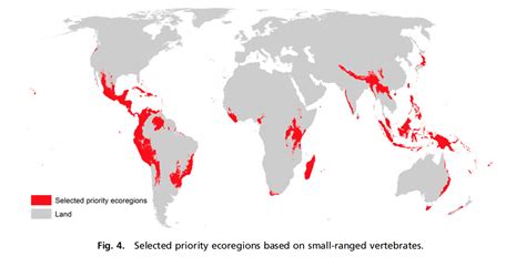 Swamp World Map 的图像结果