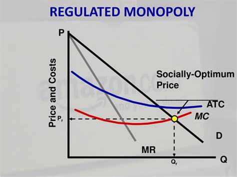 Regulated Monopoly Graph 的图像结果