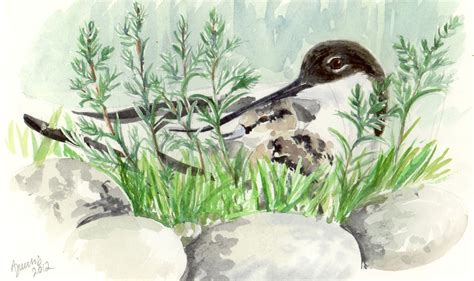 Learn how to draw and paint birds and boats £20, East Quay, Watchet ...