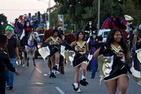 Krewe of Boo Halloween Parade, New Orleans | Halloween parade, New ...