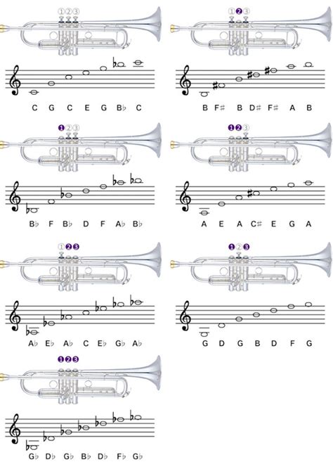 Image result for Basic Trumpet Notes