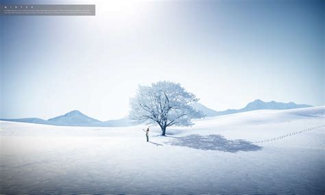 冬季旅行雪山白树推广主题背景图psd素材-变色鱼