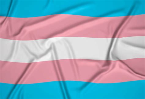What Does the Transgender Pride Flag Mean? | GenderGP