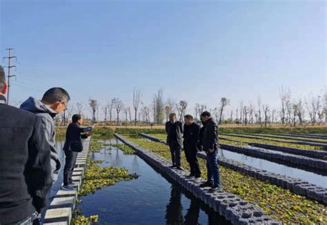 江苏泗洪：尾水湿地绿意盎然-人民图片网