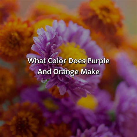 What Color Does Orange And Purple Make at Kellie Jackson blog