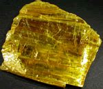 NLAM: National Library of Ayurved Medicine