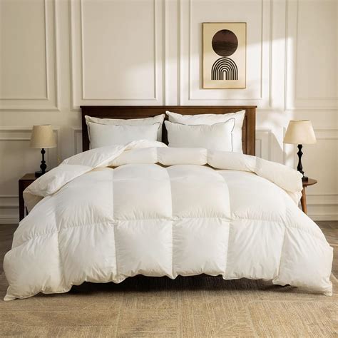 Amazon.com: BPC Organic Feather Down Comforter Full/Queen Size, Hotel ...