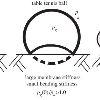 Image result for Modulus Shell