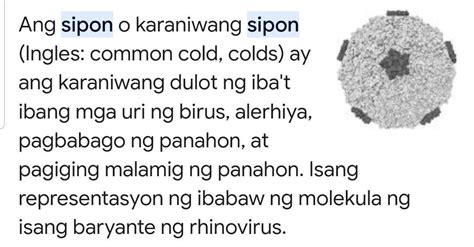 ano ang kahulugan nang sipon - Brainly.ph