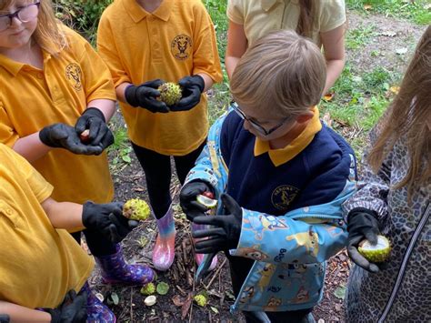 Heron's Moor pupils become foresters for the day - Herons' Moor Academy