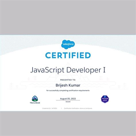 JavaScript Developer Salesforce Logo 的图像结果