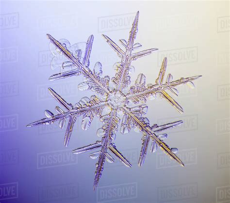 Real Snowflake Background