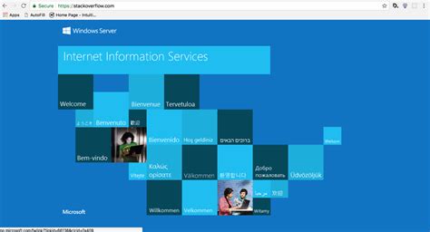 Stack Overflow Problem 的图像结果