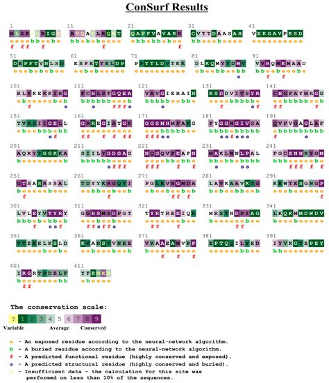 Identification of Pyruvate Dehydrogenase E1 as a Potential Target ...