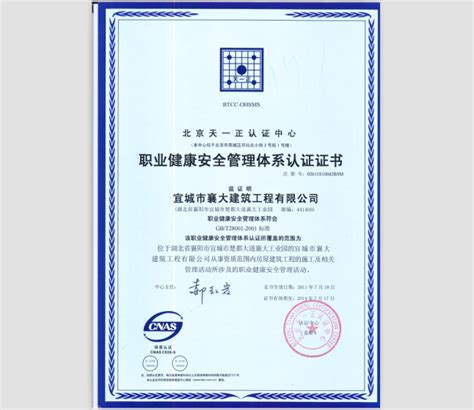 ISO 9001-2015 label certification new version Stock Vector | Adobe Stock