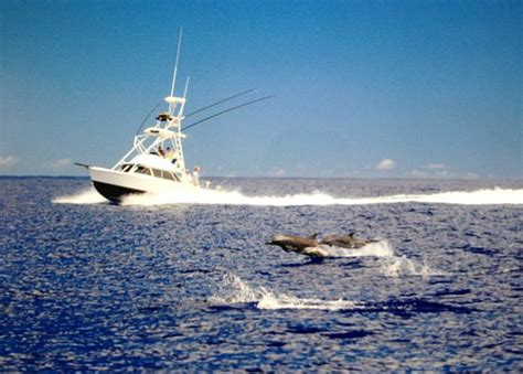 LIVE BAIT SPORT FISHING (Waianae) - What to Know Before You Go