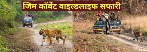 Corbett Tour Package, Corbett Tour, Corbett Jeep Safari