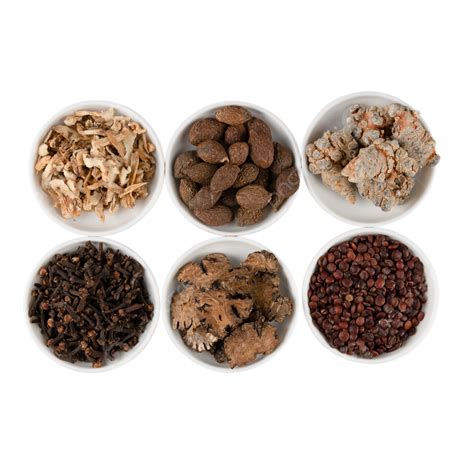 Chinese Medicine 的图像结果