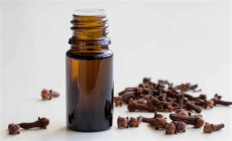 How to Use Clove Oil to Get Rid of Face Acne Scars