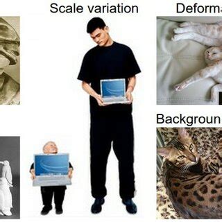 Computer Vision Challenges 的图像结果