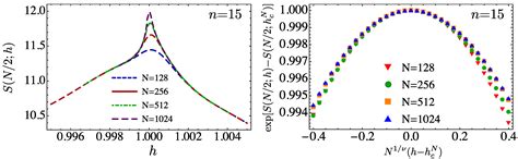 Coexistence of Different Scaling Laws for the Entanglement Entropy in a ...