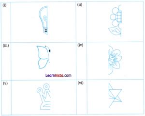Image result for Symmetry Reflection and Pattern Chapter of Class 4