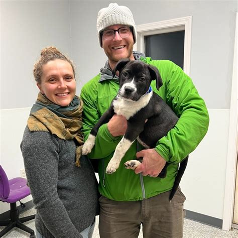 Upper Valley Humane Society Weekly Adoptions