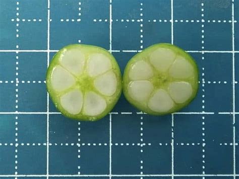 Image result for Any Questions Computer Code Style