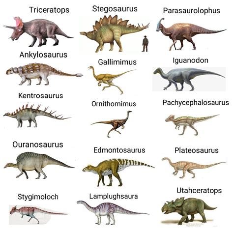Dinosaurs Herbivores Dinossauros Dinosaurios | Prehistoric animals dinosaurs, Prehistoric ...