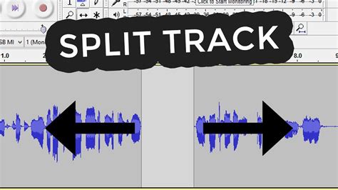 Image result for Split-Track