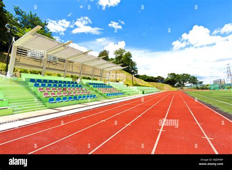 Sports Ground 的图像结果